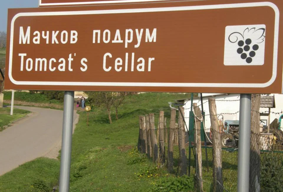 1794803_520750361378734_49652336_n